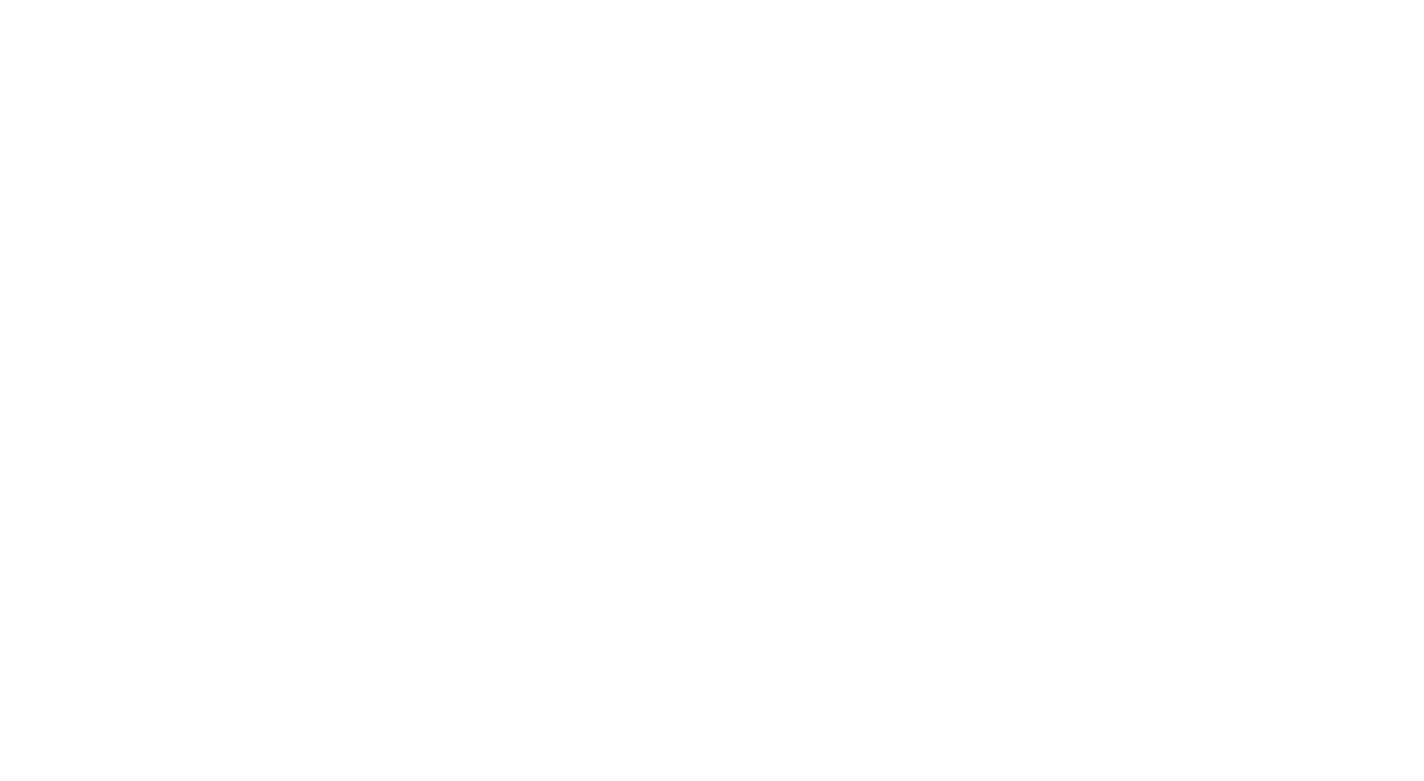 Flick Fashion Group